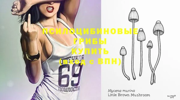 не бодяженный Алзамай