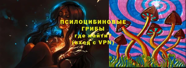 прущие крисы Алексин